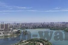3d森林舞会手机app-3D森林舞会，手机APP中的自然韵律与互动体验