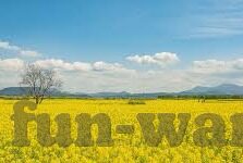 捷报足球即时比分网-捷报足球即时比分网，球迷的实时信息港湾与赛事分析智库