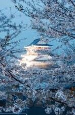 九游助手下载官方-九游助手，官方下载与一站式游戏服务体验